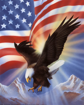 bald eagle flag